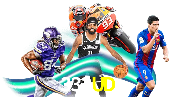 333UD